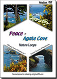 Agate Cove DVD