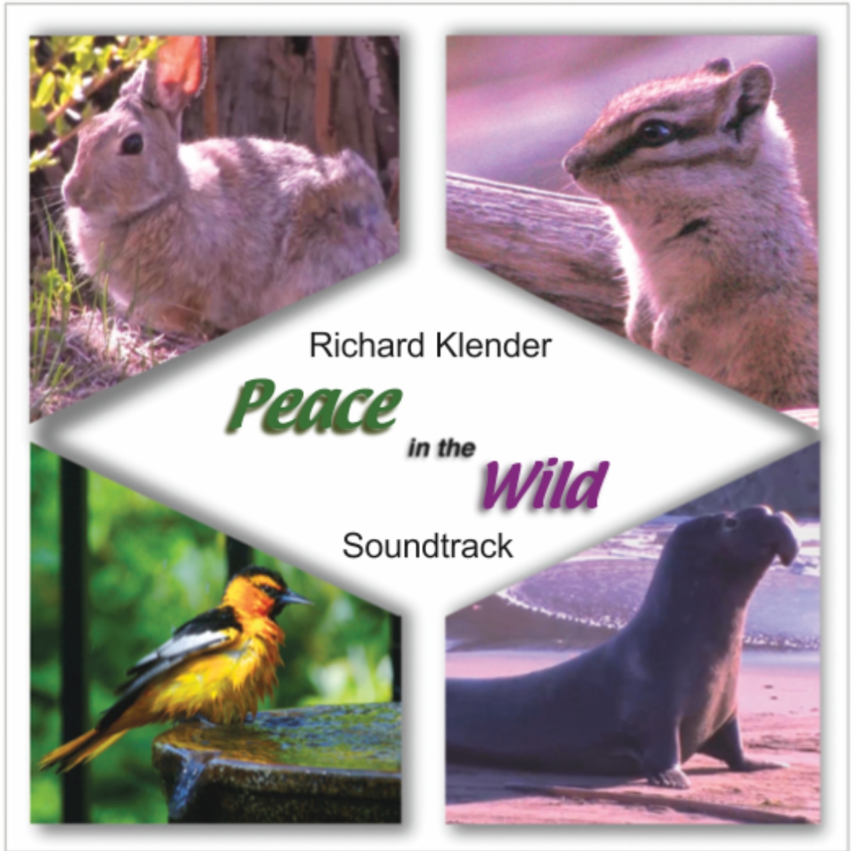 Songtracker.com Music for Film and TV - Klender: Peace in the Wild